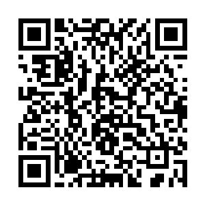 只能说他们的考虑跟大人的考虑有那么一些不太一样二维码生成