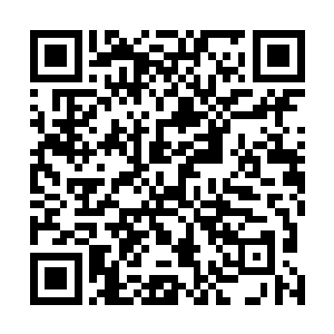 只能说康少是挑选不出两块有百分百必胜把握的赌石罢了二维码生成