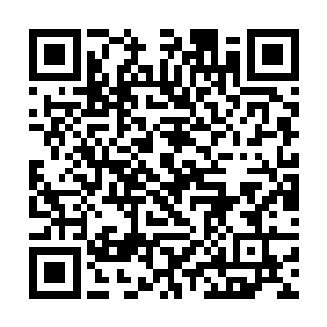 只能跟着那些下人到了另外一个房间去给凤瑾元看伤二维码生成