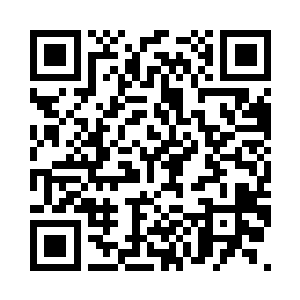 只能默默的看着灰团子那厚厚的绒毛二维码生成