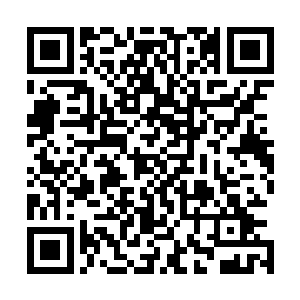 只要一想到叶笑将是天域修者历史上下一个飞升红尘天外天二维码生成