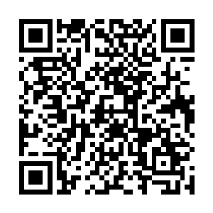 只要不像是当年聂正国所处的官方一样不顾一切的鲸吞二维码生成