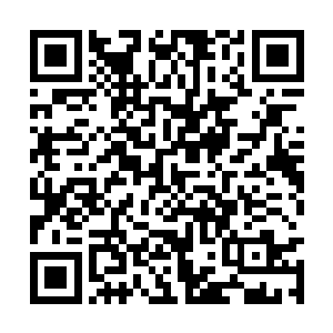 只要不去真的和五星坚固以上的半仙器一直硬碰硬二维码生成