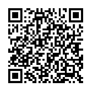 只要不是提那几个皇族要犯其余的随便你提就是了二维码生成