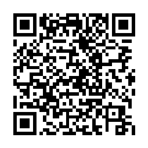 只要他们的战斗是在洞府世界主人的观看下完成二维码生成
