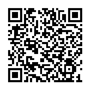 只要他抗住这一踹或者是闪躲掉苏凡的这次攻击二维码生成