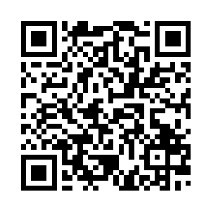 只要你们找到做出错误决定的元凶二维码生成