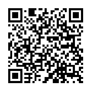 只要你们疼爱的大小姐愿意割下一个手指头就能救下你们二维码生成