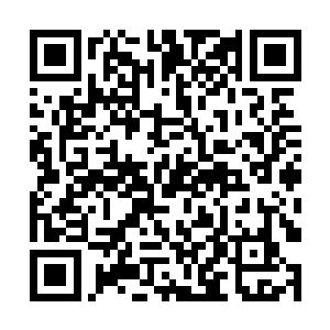 只要你们谁山争取到的资金政策也给我们双峰一份儿二维码生成