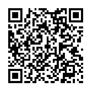 只要你将这梓龙白果花老老实实地交给我就行了二维码生成