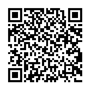 只要再随便赏我一个掌控者的低级一点的神格也就差不多了二维码生成