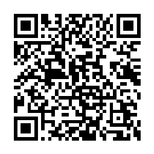 只要她把我写出了的一组数字一字不漏的背下来二维码生成