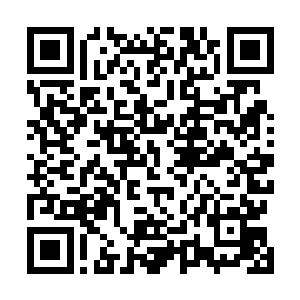 只要得到这件宝物……自己再也不用怕世界之主的要挟了二维码生成
