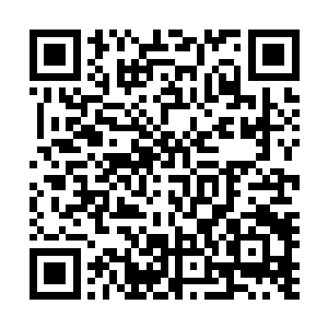 只要我们能够控制得了对血液的迷恋和因为血液产生的狂躁二维码生成