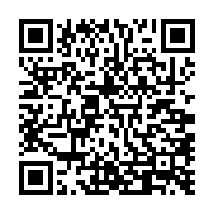 只要我们许家表现出能够保护投奔我们许家那些家族的实力二维码生成