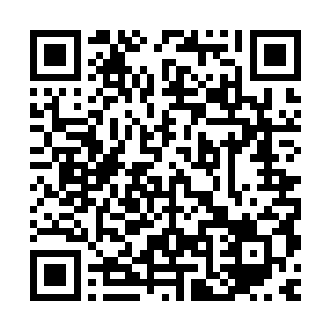 只要我醒来……你什么都答应我……我什么都不要……只要……二维码生成