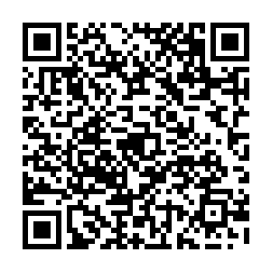 只要战区的飞艇和轰炸机部队能将那些被驱赶的百姓在渭水一线阻截两天二维码生成