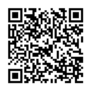 只要战小云让他做什么事情他都会毫不犹豫的去做二维码生成