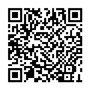 只要拥有它羽毛的人不会主动攻击它或者伤害他二维码生成