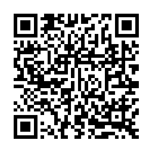 只要明天的第六轮对战的时候不要点背一开始就对上种子选手二维码生成