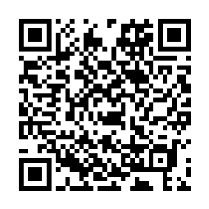 只要是喜欢风雅的人们都会在樱花树下摆上米酒和菜肴二维码生成