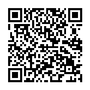 只要江海大学的跆拳道部和武术部能战胜竹下大郎二维码生成