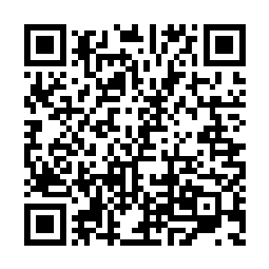 只要给我足够的时间……万鸦壶……万鸦壶……二维码生成