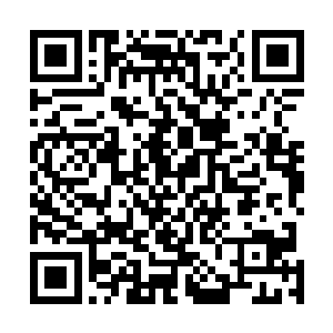 只要能在这一片天崩地陷一般的景象当中全一条性命就成二维码生成