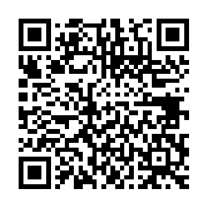 只要自己拿出一只自己以前弄到黑铁之堡的追魂灵蝶的蝶卵孵化二维码生成