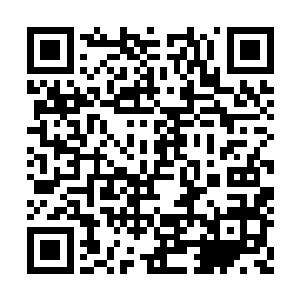 只要让他们的任务失败……他们就会被系统杀死二维码生成