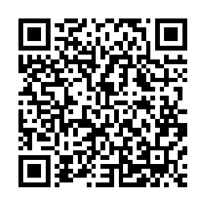 只要谁能够进入仙尊之地得到契机便是能够成为诸天百界之尊二维码生成