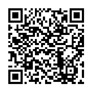 只要跟鬣狗发现对方有背身集结超过十多人的情况二维码生成