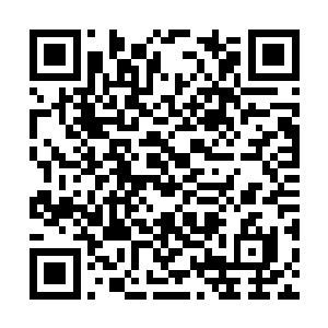 只要达到太子殿下逼迫落落大小姐回京的目的之后二维码生成