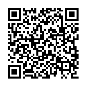 只要这些五大宗门弟子逃到了狂帝控制的范围内二维码生成