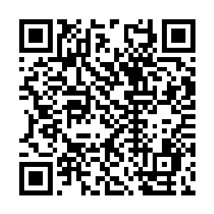 只要这可怜的女孩一天不接受现实她的病就不会好二维码生成