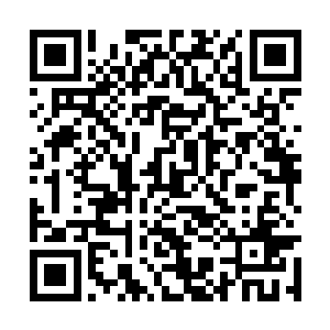 只要这最后的火星被丢进弥漫着激动情绪的人群中二维码生成