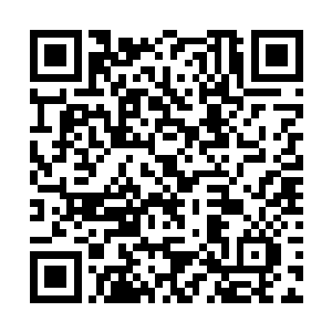 只要避开那些拥有神性模板或者传奇模板的奇异生物二维码生成