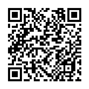 只要那个弟子没有得到他背后的大宗门的过大支持二维码生成