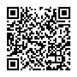 只要长公主最后把屯兵在东辽故地的势力调回帝都二维码生成