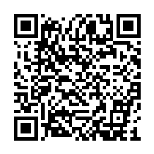 只见一个十四翼堕落天使正一脸狞笑的望着这边二维码生成