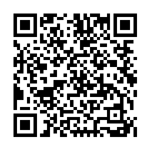 只见一个篮球大小的火球闪电般从他拳头上射出二维码生成