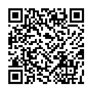 只见一只黄白相间的喜乐蒂犬正瘫倒在道路中央二维码生成