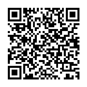 只见一块拳头大小的散发出九彩色光芒的石头静静的躺在盒子里二维码生成