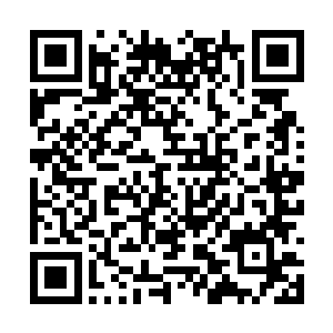 只见一条粗壮无比的巨蛇正一点一点的爬上了山头二维码生成