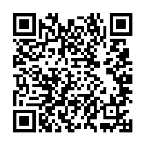 只见一根接一根的飞矢从他以及白狮兽的身边掠飞而过二维码生成