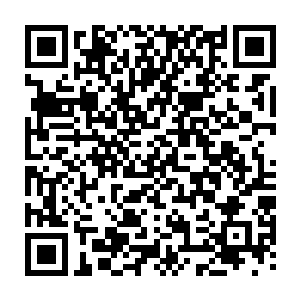只见一道极其可爱的身影与一道温柔可人的身影同时出现在了林辰的面前二维码生成