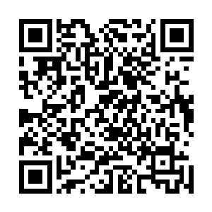 只见之前放下林伯尸体的那处地方已然被滚下来的大石掩埋二维码生成