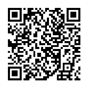 只见九条犹如实质的恐怖的能量巨龙也是直接冲天而起二维码生成