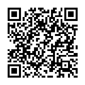 只见乾坤毒袋子扩大到双臂圈抱住那么大的时候二维码生成