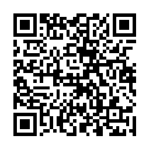 只见五六人在他们三百步远的一个拱起的小丘望着他们二维码生成